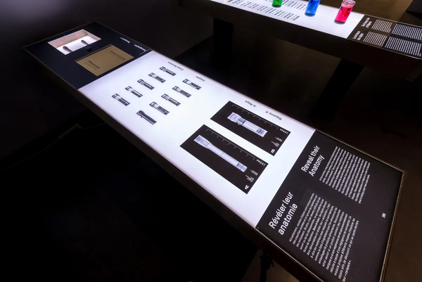 Vue en trois quart d'un module d'exposition. Une série d'acétates montrent différentes coupes de lampes de poche. Au bout du module, un écran sert d'interface pour une interaction avec deux vraies lampes de poche.  