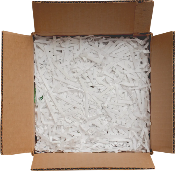 Carboard box containing paper shreds.